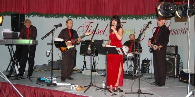 FestivalOfTrees2009.jpg
